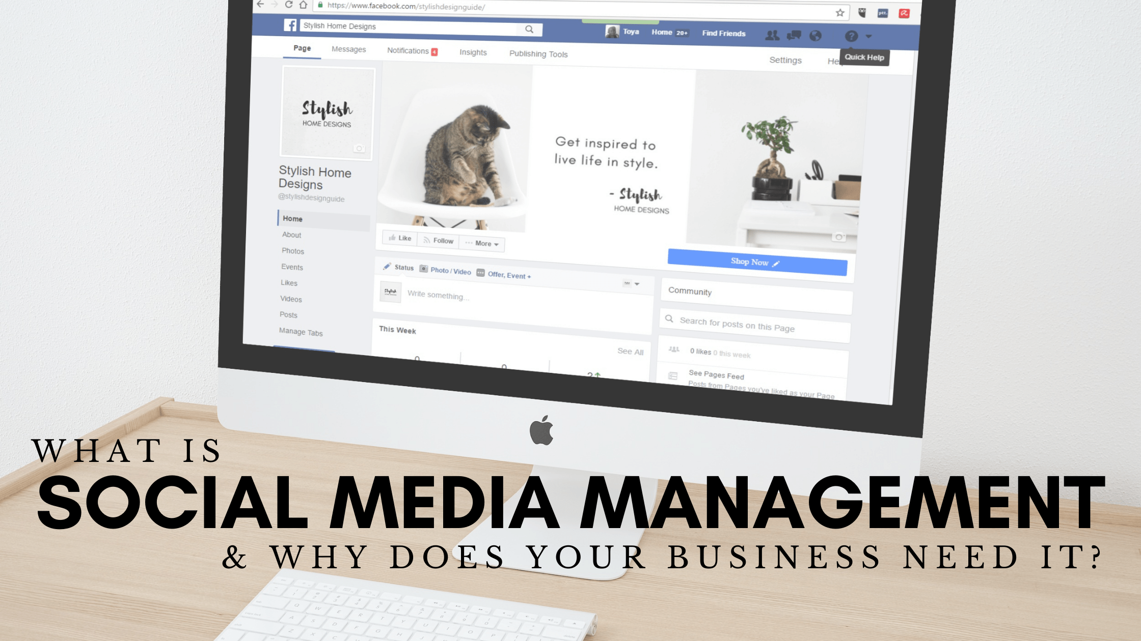 Social Media Management Colorado Springs