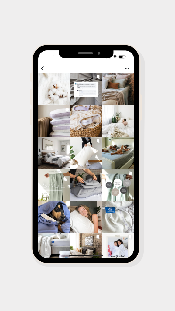 social media management Colorado Springs