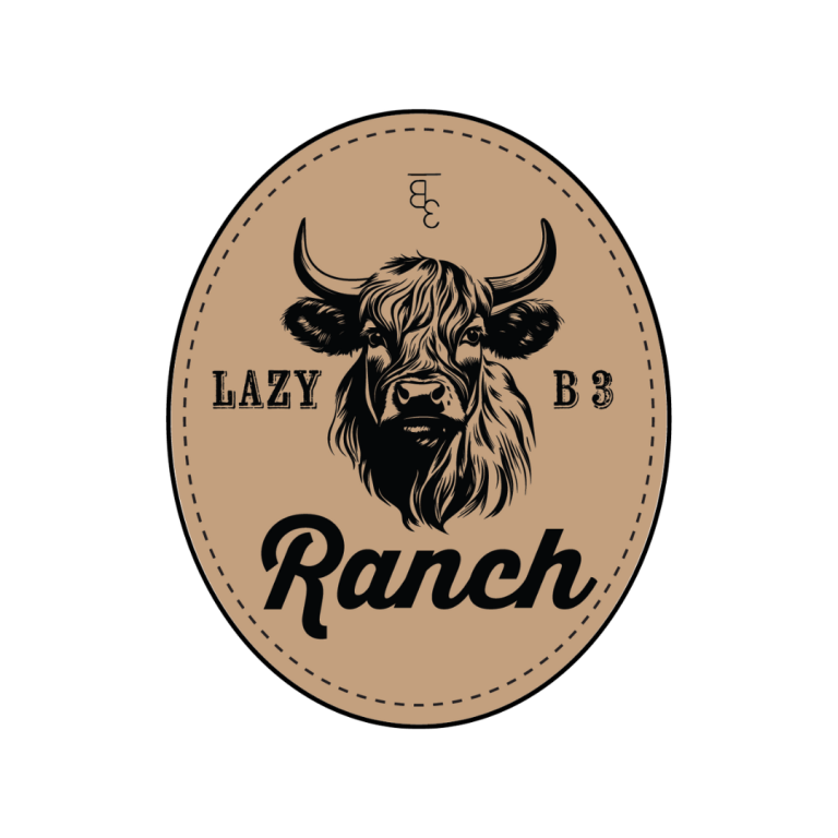 branding and logo design