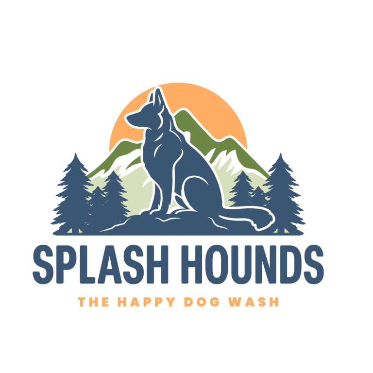 branding and logo design